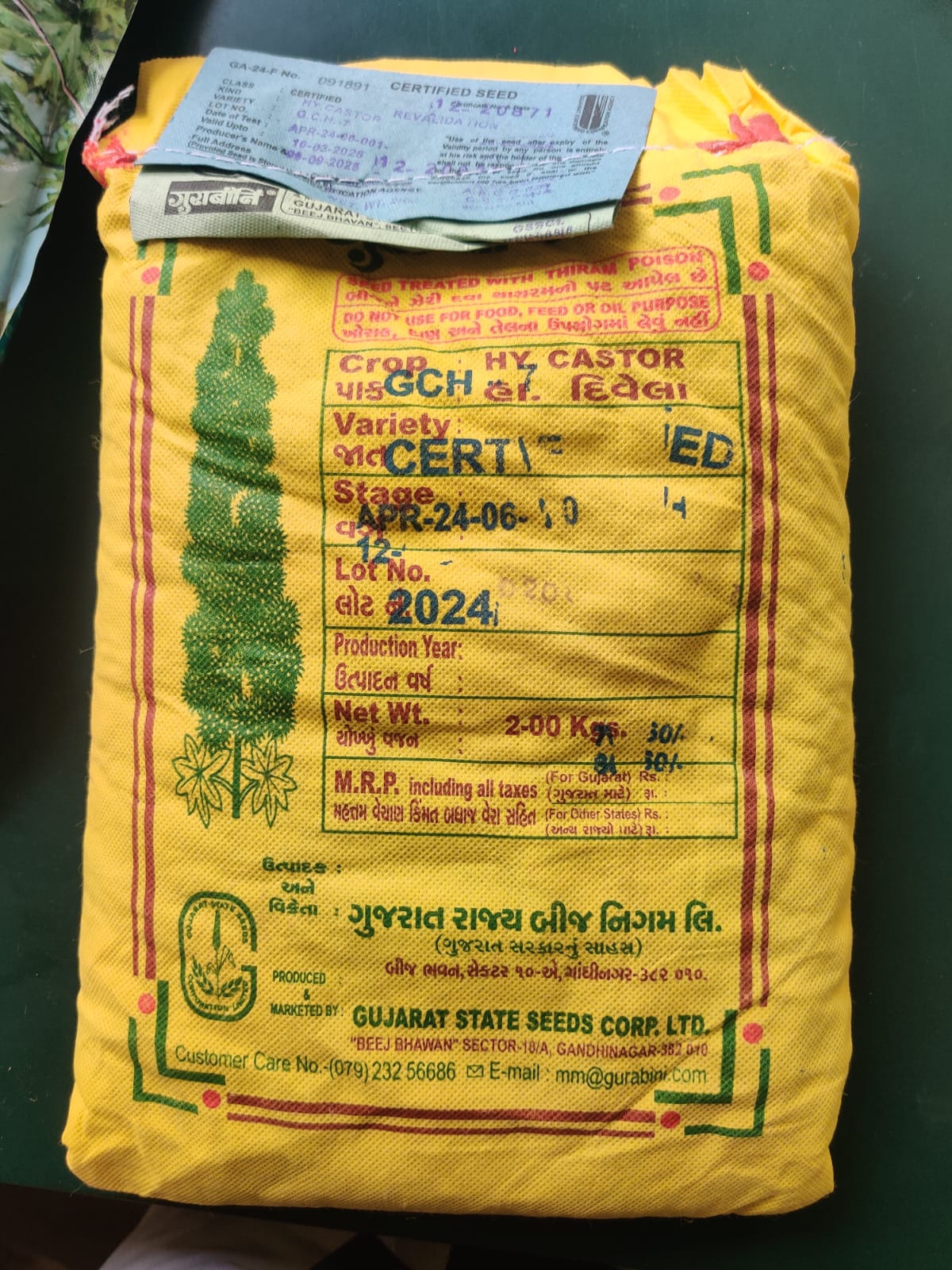 દિવેલા બીજ