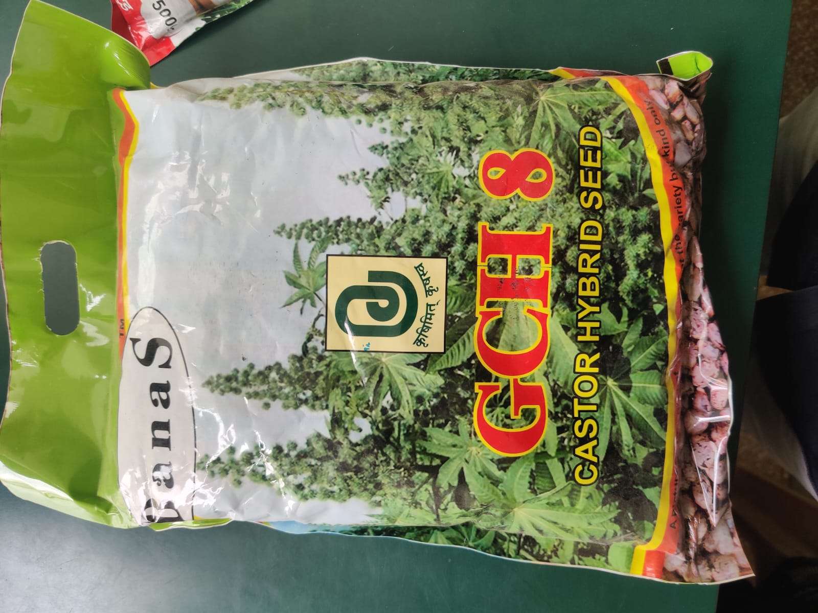 એરંડા બીજ